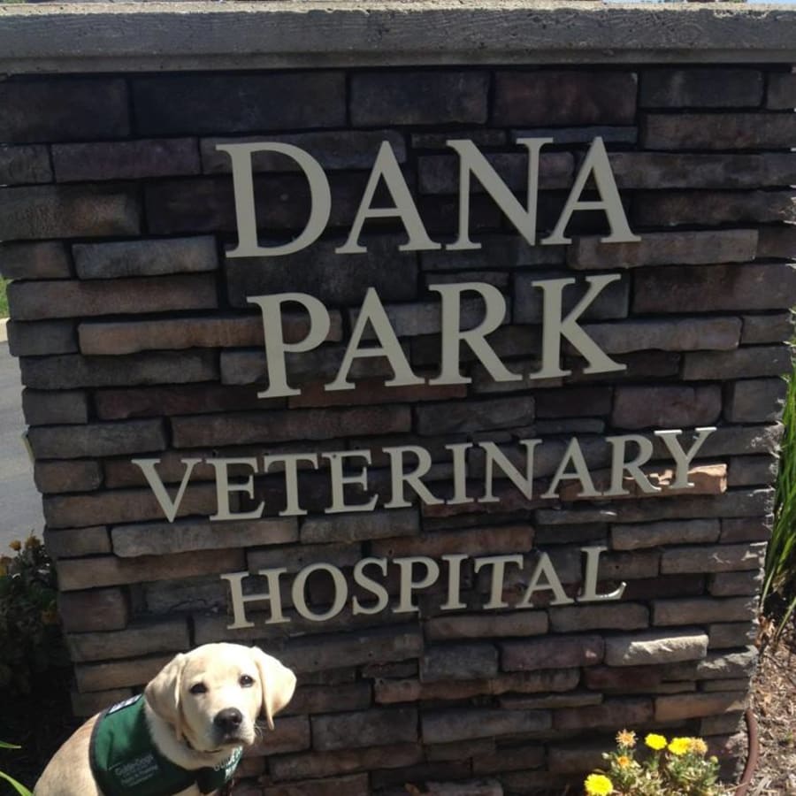 Dana Park Veterinary Hospital in Redding
